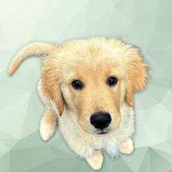 Mitarbeiter_Cooper